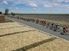 631316815DP017_Amgen_Tour_o