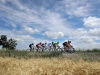 631316815DP020_Amgen_Tour_o